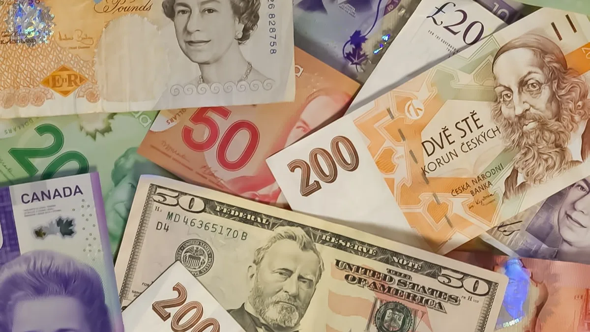 Pesquisa remunerada em dólar: quanto sobra em reais de US$ 6 a US$ 100 em 2026
